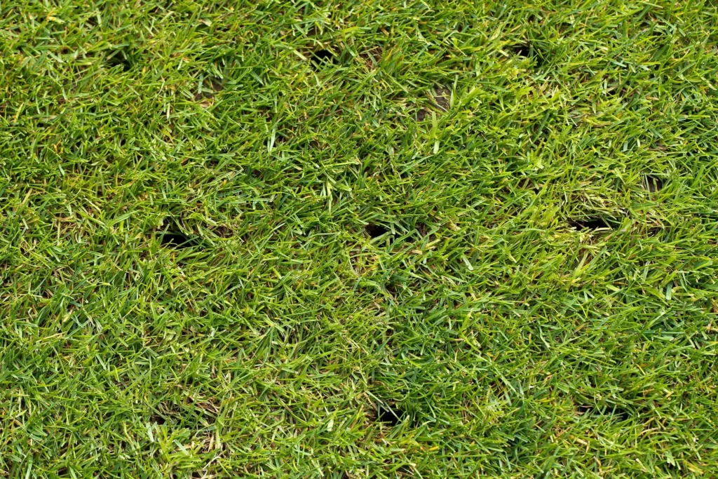 Aeration Services by Di Sandro Landscape Group