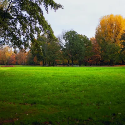Fall-Grass