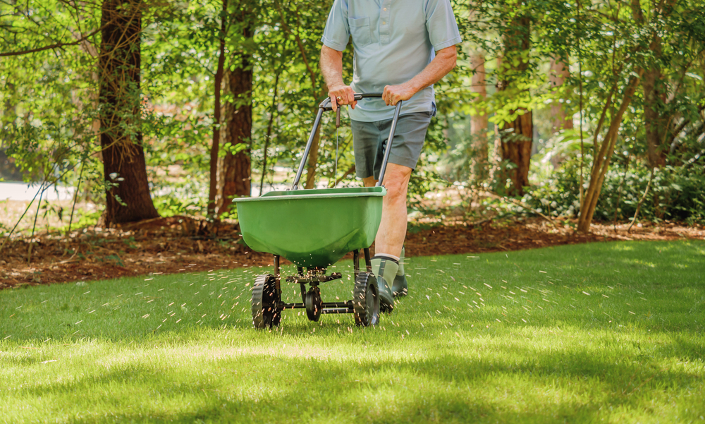 Man fertilizing and seeding his lawn in the fall