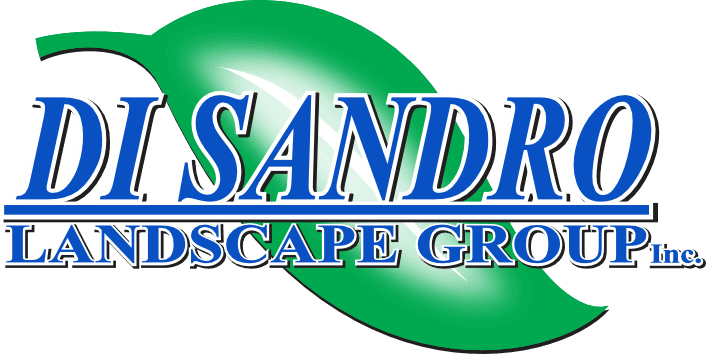 Copy Of Di Sandro Logo (002)