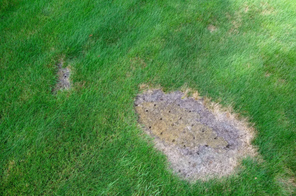 core-aeration-2000