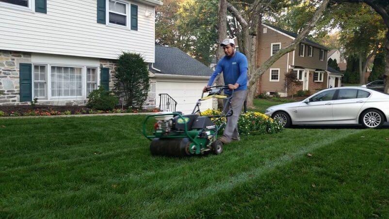 Landscape Maintenance Services Newtown, PA