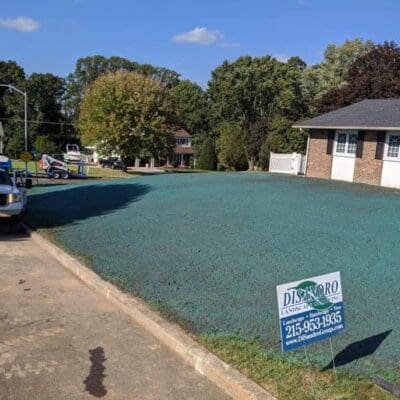 Landscape Maintenance Services Newtown, PA
