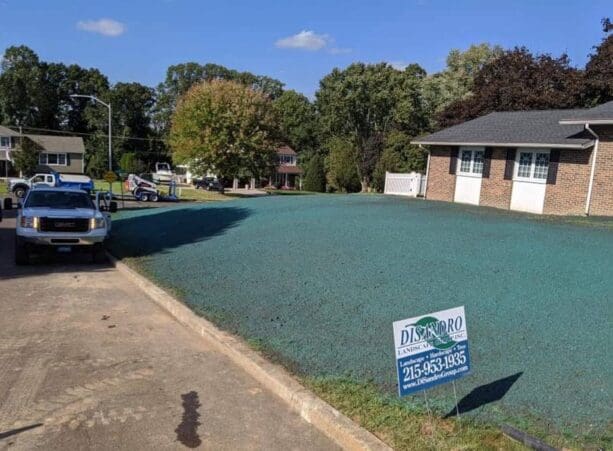 Landscape Maintenance Services Newtown, PA