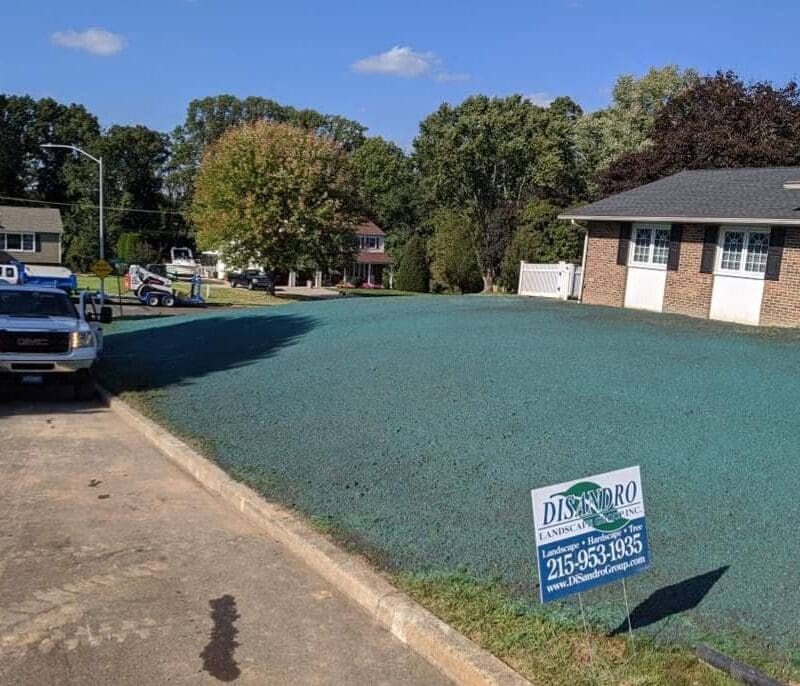 Landscape Maintenance Services Newtown, PA