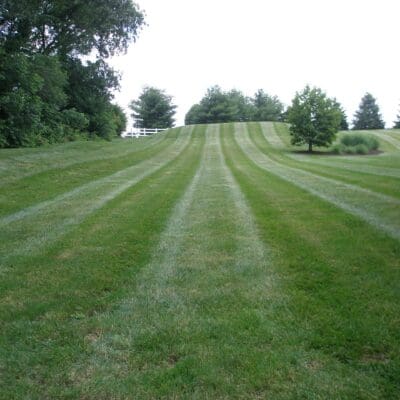 Landscape Maintenance Services Newtown, PA