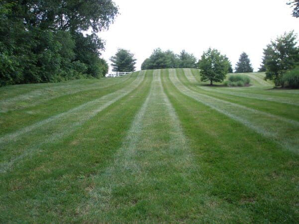 Landscape Maintenance Services Newtown, PA
