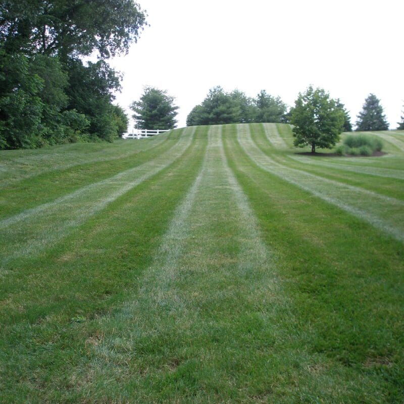 Landscape Maintenance Services Newtown, PA