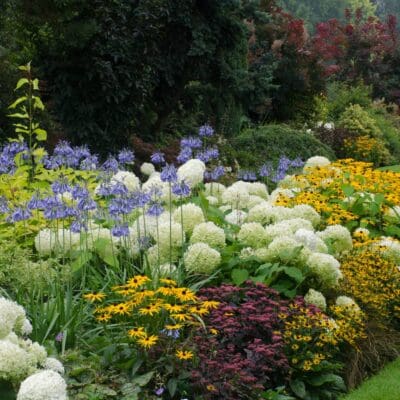 Newtown, PA Landscaping Companies