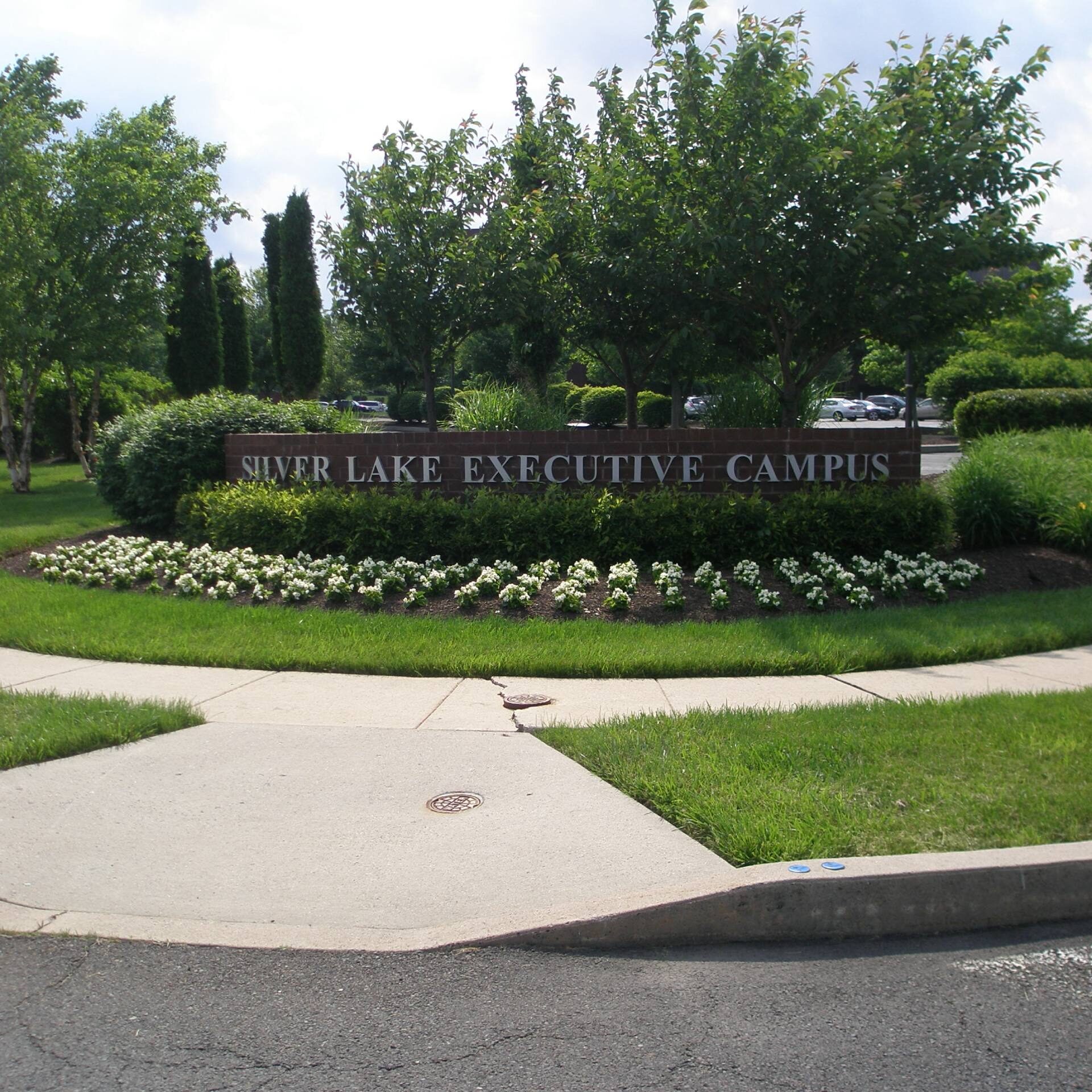 Commercial Landscaping Companies in Newtown, PA